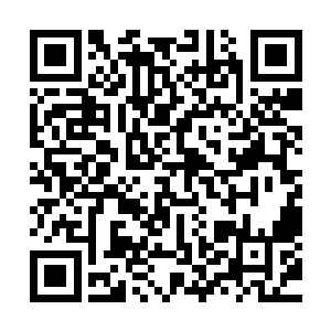 我们派出的勘察队伍在其全境也只找到了几个矿产和一口矿井二维码生成