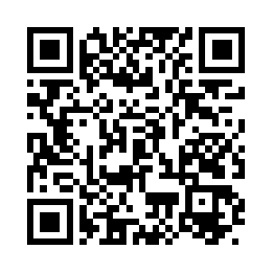 我们灵狐族之中也是有着这种符印的二维码生成