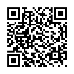 我们真的是因为太饿了……又没有钱二维码生成