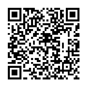 我们确实无法否认王振科把我们当做棋子傀儡来利用的事实二维码生成