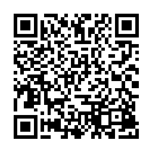 我们秦家现在缺少一个能够和皇族有效沟通的人二维码生成