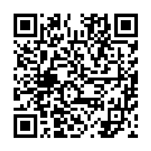 我们要想在这干旱的荒漠之中活下去必须找一个强大的靠山二维码生成