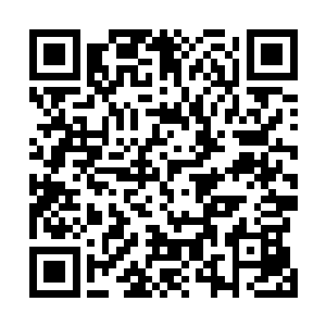 我们还可以邀请梅里万――塞斯内特集团来翔鹤药厂视察二维码生成