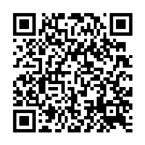 我会计算出电子卫士和玩家阵营攻击的力量和速度等等诸多因素二维码生成