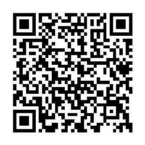 我会让你们知道什么才是真正意义上的生不如死二维码生成
