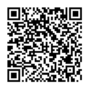 我估计九界大陆会因为彼此之间的时空之力重新回到自己原本所属的位面去二维码生成