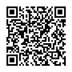 我估计原来的厂领导班子当中应该有人脱不了干系二维码生成