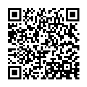 我侄子的医疗费误工费以及其他费用全部由你们负责二维码生成