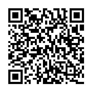 我倒要看看你们东部宗门谁敢在十二天尊的眼皮子底下动手二维码生成