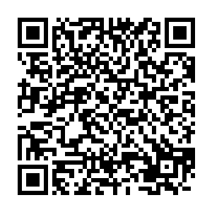 我倒要看看这种魔鬼都不想待的地方到底让这位妹妹如何纡尊降贵进行二维码生成