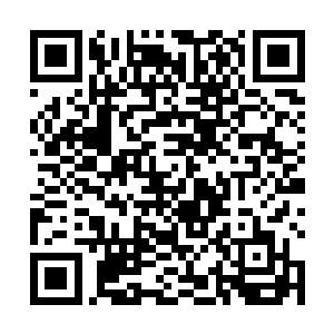 我到时候除了以身相许之外也没有其他的可以报答你的二维码生成