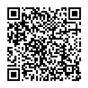 我原本以为对你在龙组的时候教我们的那套十三式和长拳已经很精通了二维码生成