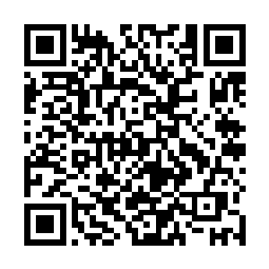 我去苏谯如果只是想要平平稳稳的把苏谯局面稳定下来二维码生成
