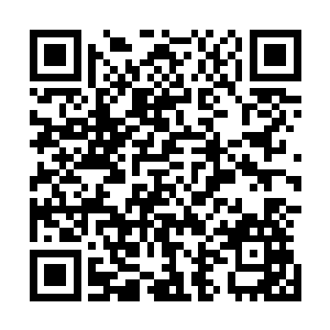 我去过几次之后才肯定他们被关押在第五届狂风界的白塔里二维码生成