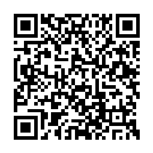 我又没练过那个……我这小身板不是不太强壮嘛二维码生成