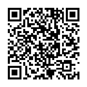 我发现之前滑落到地面上的那个尸体似乎有些反应二维码生成