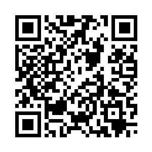 我发现你好像在盯着这里每一个人二维码生成