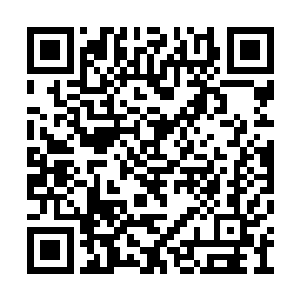 我发现你说这个干字的时候语气特别加重了一些二维码生成