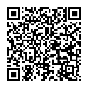 我发现孔天依的身体当中毒性传播的速度比想象当中的还要快的多二维码生成