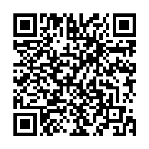 我发现这天仙无论说什么惊涛骇浪的话都是一副平淡的语气二维码生成