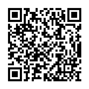 我只得将小母暂时装在平日里装朵朵的小书包里二维码生成