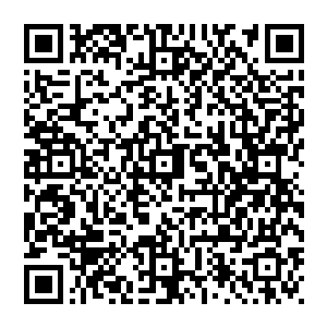 我可从来没有说过从一阶的万法之心出现后到九阶万法之心生成的这个过程之中小树就不会生成其他的新的果实二维码生成