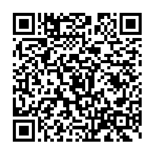 我可以将浮天大陆上方数万公里的灵气和大陆全部固定成一个整体二维码生成