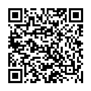 我听说人在将死之前是会看到一些平时看不到的东西的二维码生成