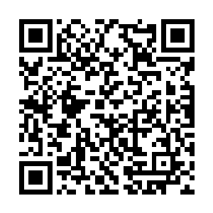 我听说你们白蚩家族要替陈良敏出卖对付我青龙军二维码生成