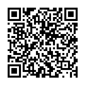 我听说闻人家族和白家联合在新能源项目上和大少争执的厉害二维码生成