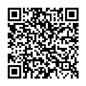 我听财政局那边说张书记本来是打算让陆专员也买一辆奥迪a6的二维码生成
