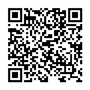 我和九姐在天山在祁连山拼命的为你寻找这雪莲和幽魂草二维码生成