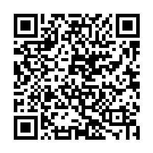 我和别人要看看巨山湖的万亩湿地和巨山湖上的旅游二维码生成