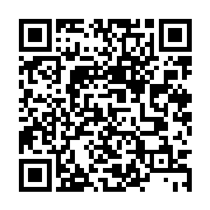 我和王阳两个人是真心的感谢大哥对于小刚的付出二维码生成