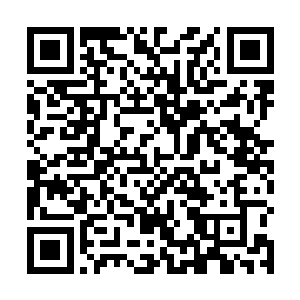 我回头让裁缝给你订做几套送过去――你帮了我那么多二维码生成