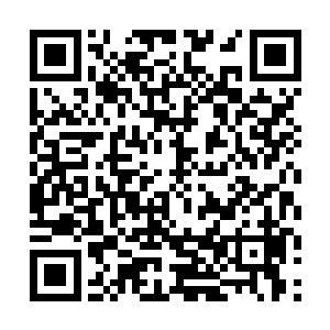我在下一次董事会上提议准备增加的董事席位是安妮二维码生成