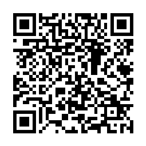 我在今天之前都不知道数字文明是个什么样的存在二维码生成