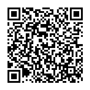 我在他们眼里只是一枚随时都可以舍弃的棋子我怎么甘心做个棋子二维码生成