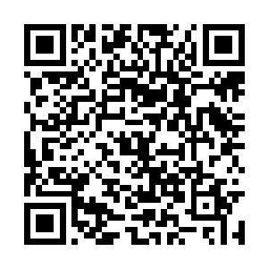 我在决定出手帮忙的那一刻就把武悼给算计了进来二维码生成