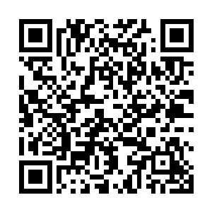 我在帝综上学的时候每天都是和西格玛一起走路上学的二维码生成