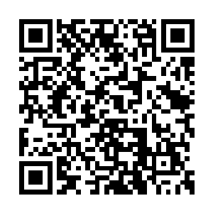 我在电话里跟付阳再一次确认了一下晚上的计划二维码生成