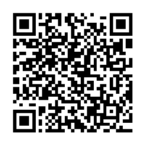 我在这里给你们简单的讲述一下我们天宫弟子和长老的晋升情况二维码生成