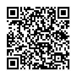 我在金鹏银行的账户上每个月就可以多出10个金币二维码生成