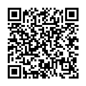 我在附近也找颗巨菇掏空一下暂时能容身就好了二维码生成