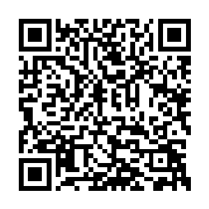 我夏天会在九鼎门的传送阵开启之后离开下三界二维码生成