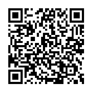 我家大哥白彪乃深渊海域黑水世界十大妖王之一二维码生成