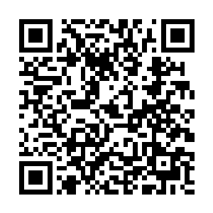 我就是突然觉得我错过了那么多像现在这样的好时光二维码生成