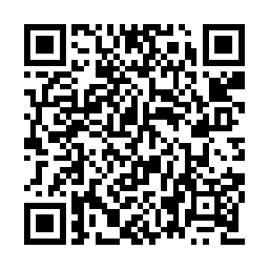 我就更加相信他们和一元宗之间肯定有什么事情二维码生成