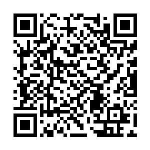 我就看见有个打人的凡人说被打的那个凡人是抖M二维码生成