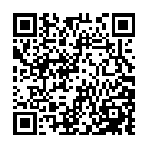 我已经发现了无数气息从各门各派的掌门袖中发出二维码生成